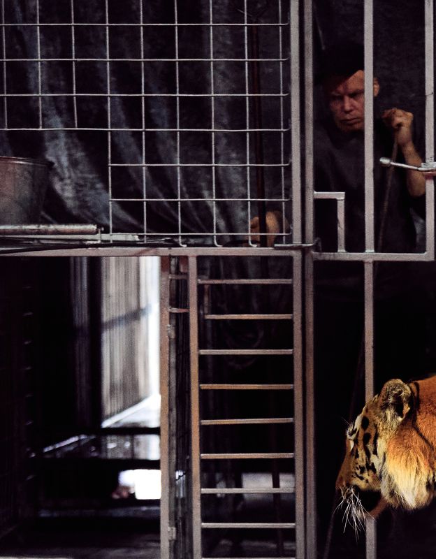 Антрактphoto preview