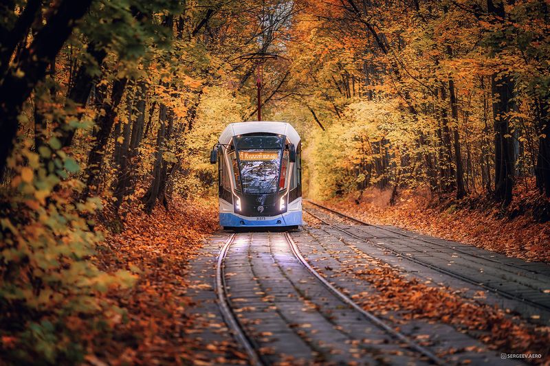 трамвай, москва, осень, парк, транспорт, пейзаж, природа, tram, moscow, autumn, park, transport, street, landscape, city, nature, moscowcity Классические осенние московские трамваи | Autumn Moscow trams фото превью