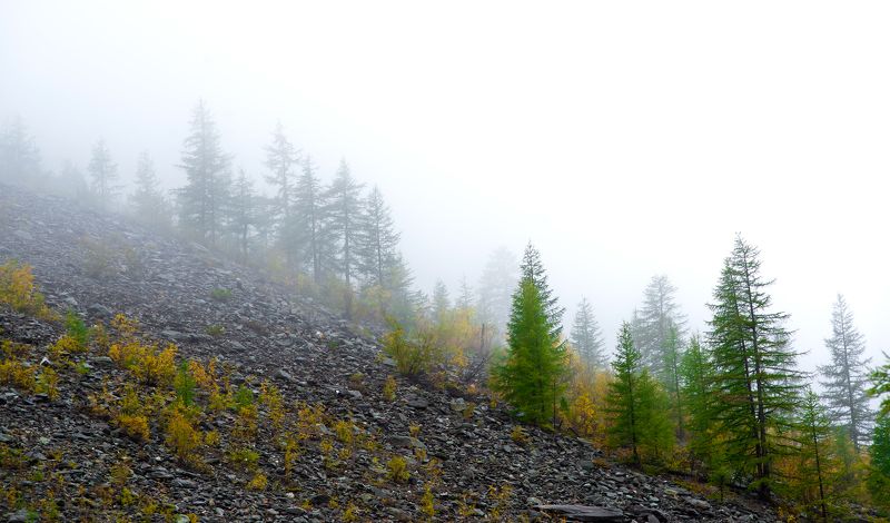 Туман..Алтайphoto preview