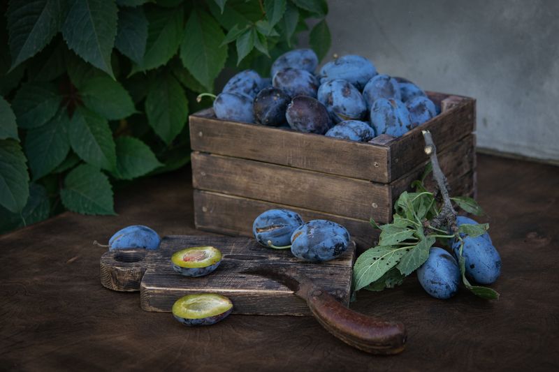 натюрморт,ставрополь,сливы, photo preview