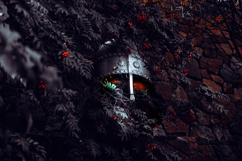 осень,фотограф,сибирь,тревел .photo preview