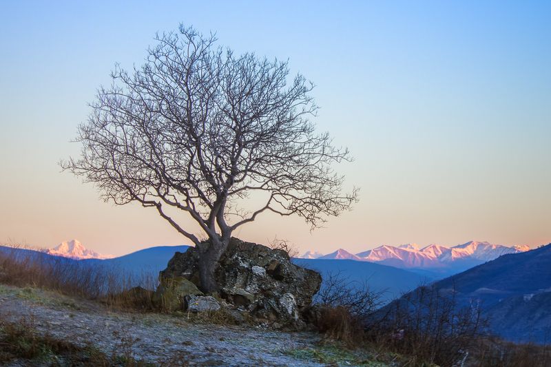 Холодный рассвет в Мцхете (Грузия)photo preview