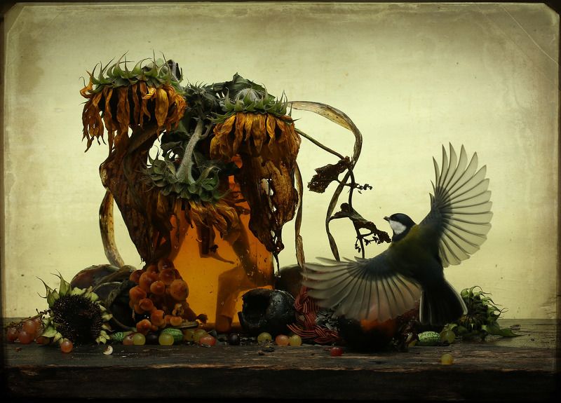 Конец навигацииphoto preview