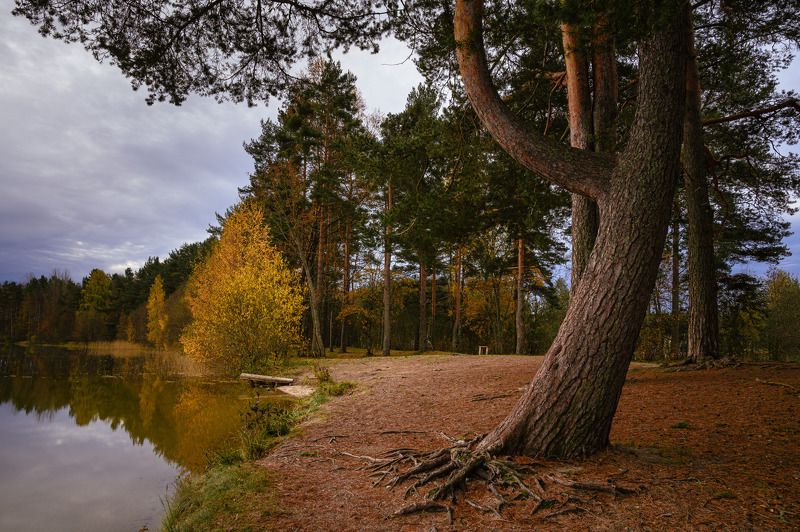 озеро снетковское Утром на Круглом. фото превью