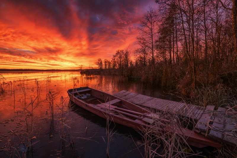 Вашутино Утро на озере... фото превью