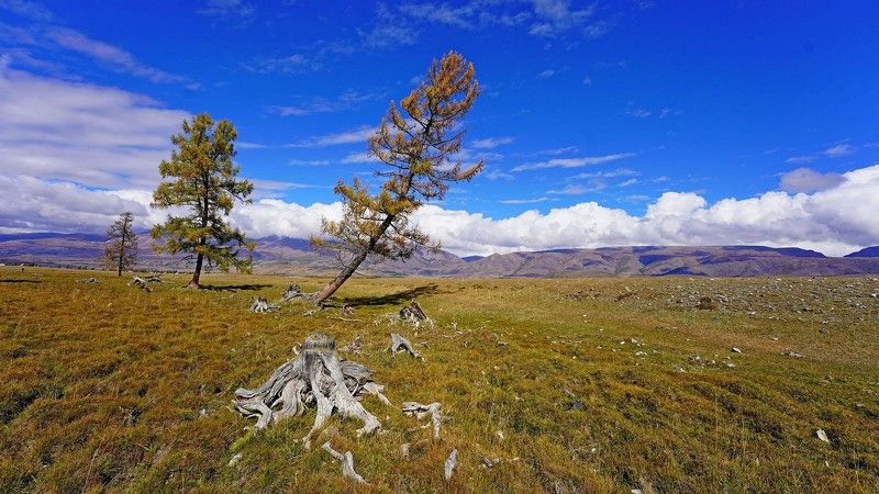 Алтай, Сибирь, Россия photo preview