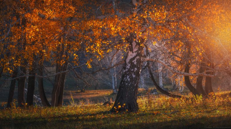 башкортостан, южный урал, уральские горы, золотая осень Золотая осень в Башкирииphoto preview