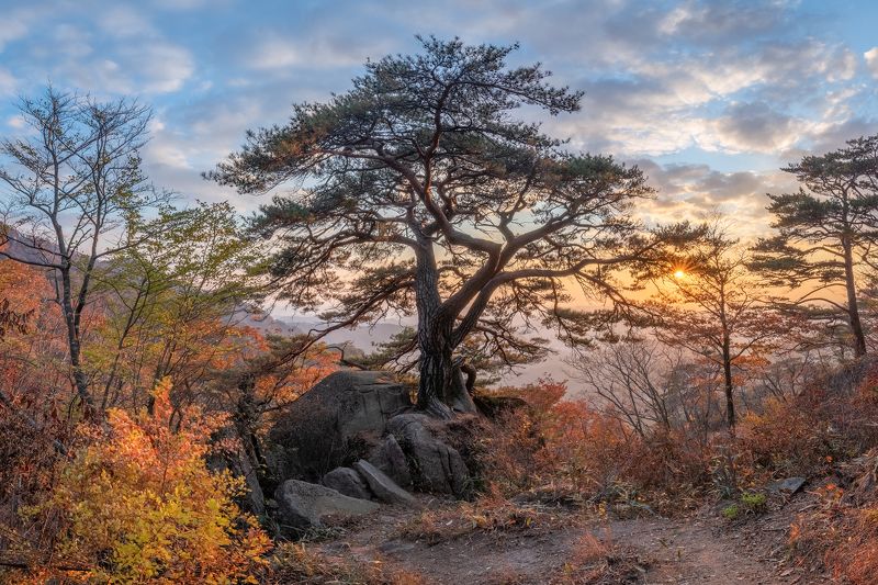 Great Wisdomphoto preview