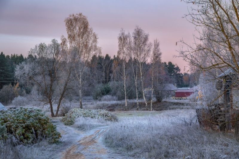 серково, утро, иней, октябрь Утренняя сказка.photo preview