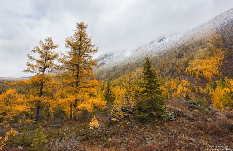 солнце, россия, рассвет, природа, подмосковье, погода, пейзажи, пейзаж, отражение, наукоград, красота, дубна, вода, весна, weather, water, spring, russia, reflection, naukograd, nature, moscow, landscape, dawn, canon, dubna, beauty Кош-Агачский район, Республика Алтай. фото превью