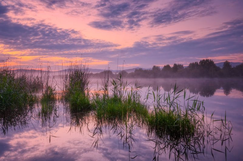 забайкалье, озеро, утро, лето *** фото превью