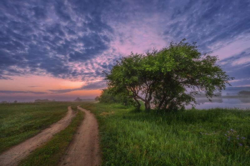 По дороге в летний день... фото превью