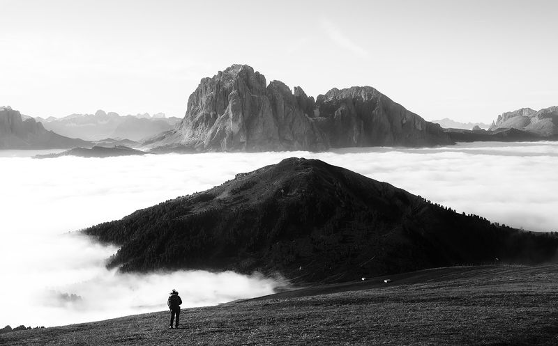 una donnaphoto preview