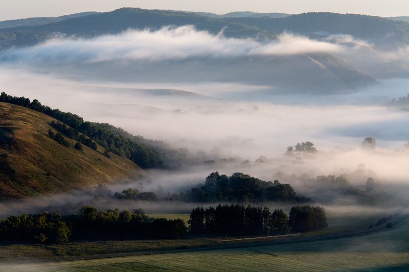 туман,пейзаж,утро,fog,landscape,morning Туман в долинеphoto preview