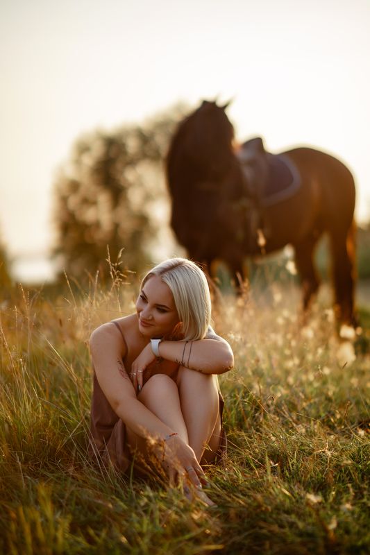 sunset shephoto preview