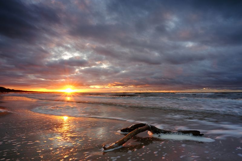 Baltic Coastphoto preview