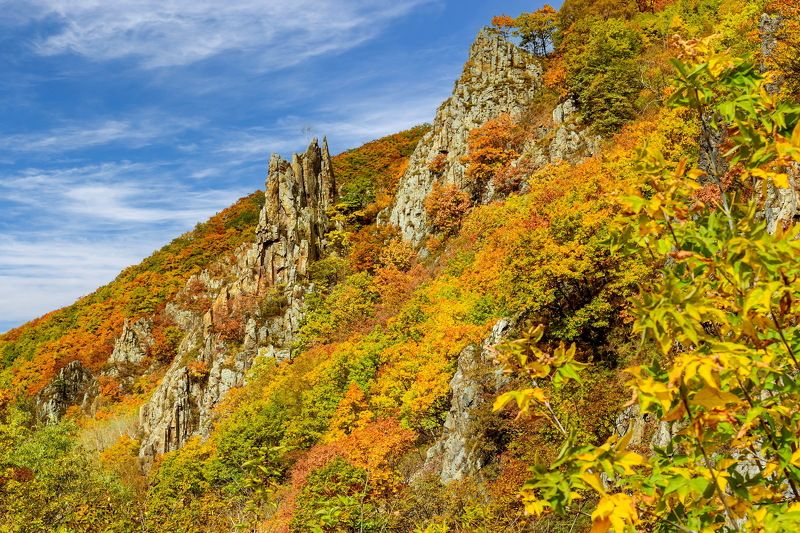 осень  скалы  сихотэ-алинь Осенний Сихотэ-Алиньphoto preview