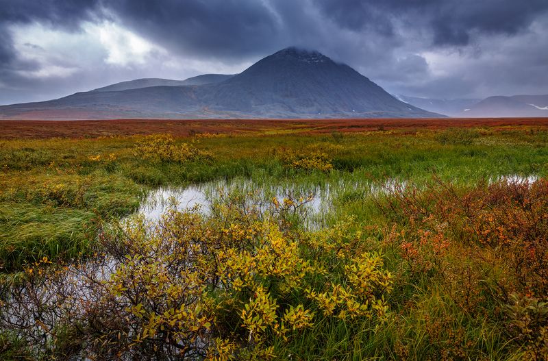 * * * фото превью