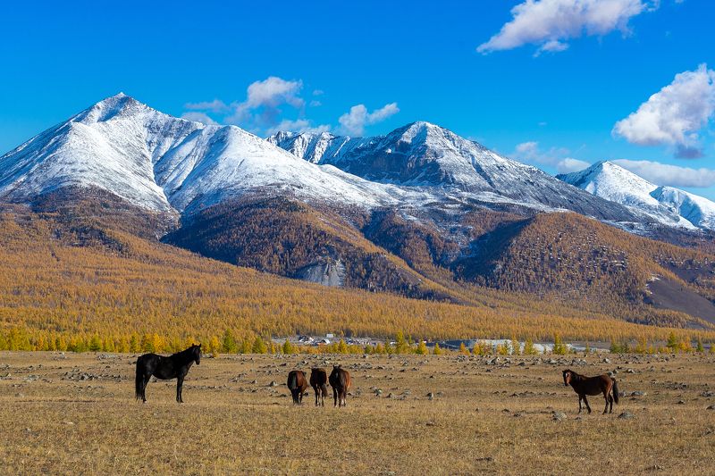 окинский район. Саяны. Хребет Кропоткина.photo preview