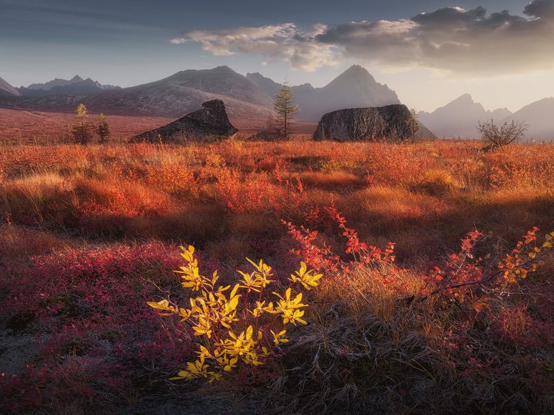 Цветной ковер Колымыphoto preview