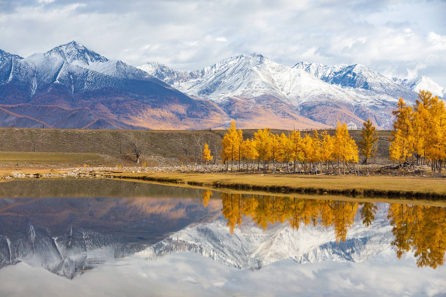 , Буянов Илья