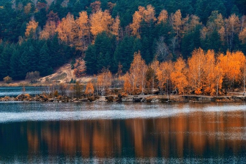 природа,пейзаж,осень,подмосковье Пасмурный день осениphoto preview