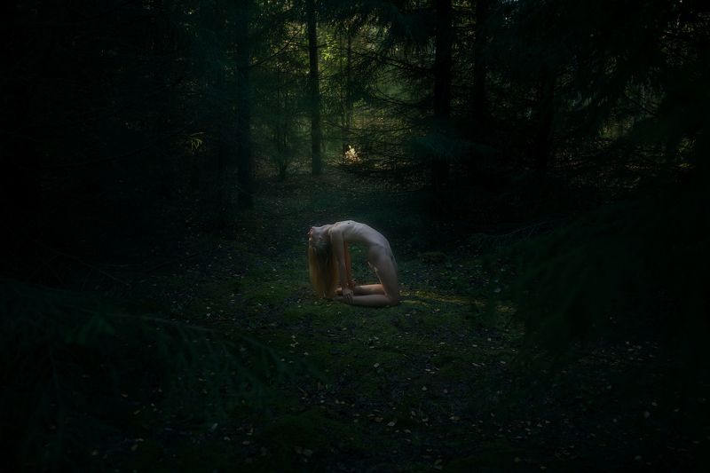 In the dark dark forest photo preview