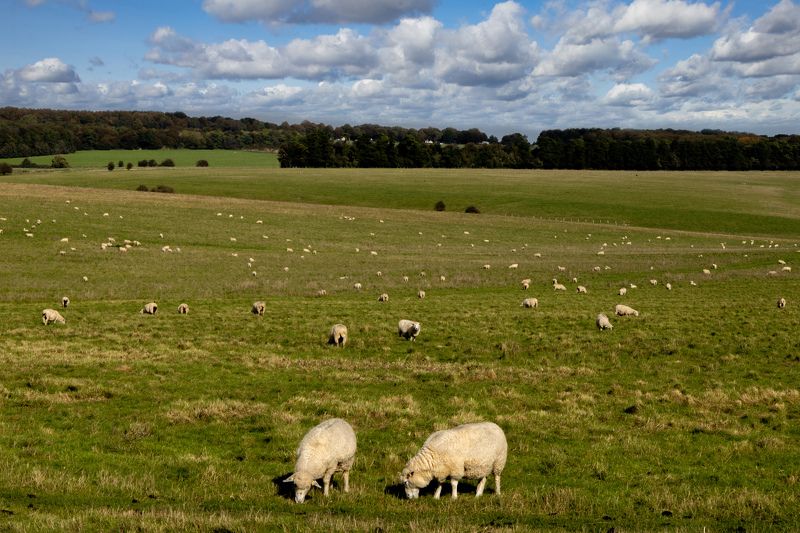 Лучшее снотворноеphoto preview