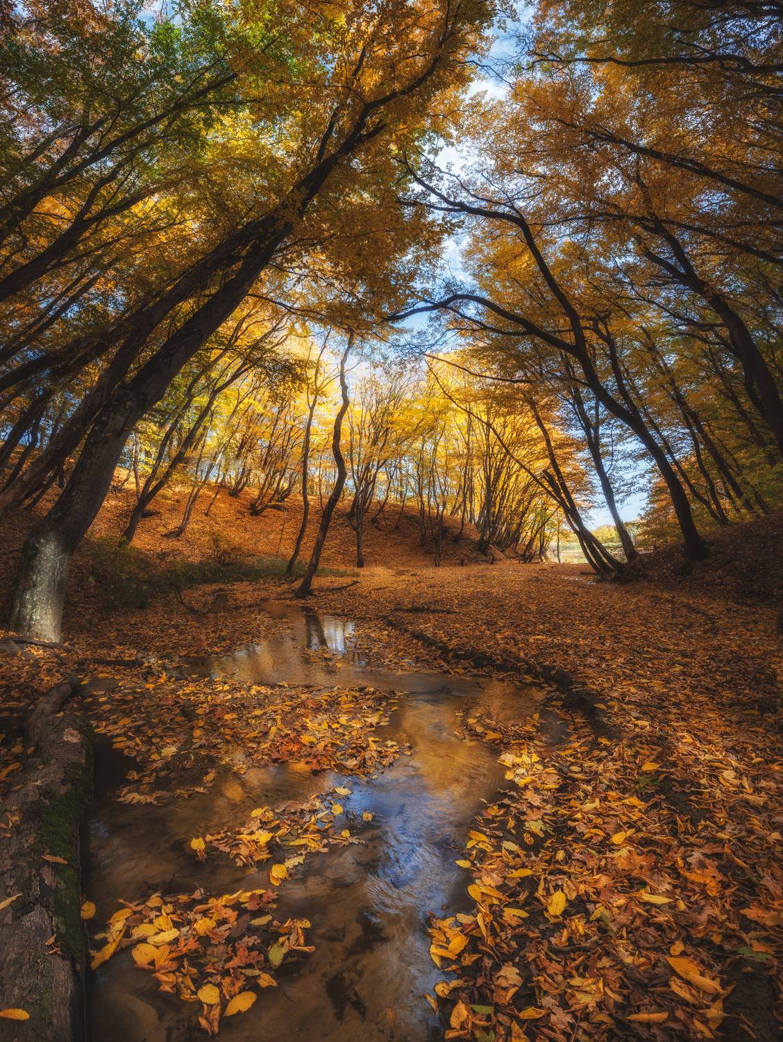 Автор: Кахарова Наргиза , Кахарова Наргиза