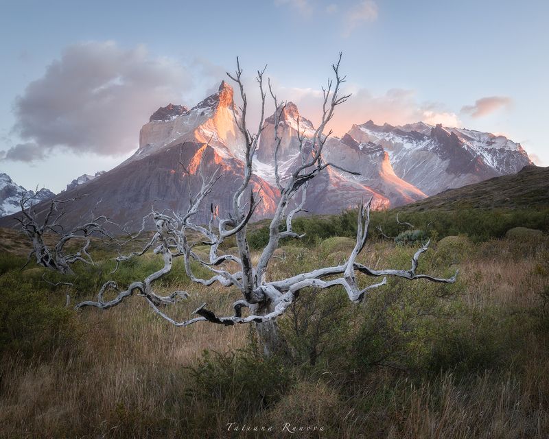 Рассвет в Торрес дель Пайнеphoto preview