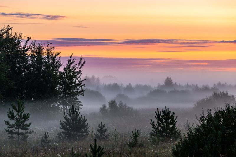 рассвет, туман, лето, август, тепло, солнце, небо, ярко, лес, поле, пейзаж, облака, тихо, тишина, природа, Туманный рассветphoto preview