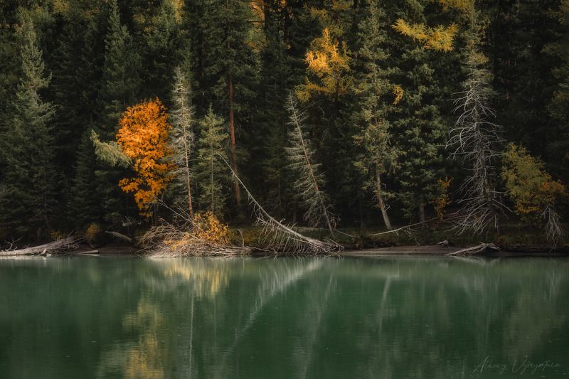 altay, autumn, lake, green, yellow, landscape, water, mirror ***photo preview