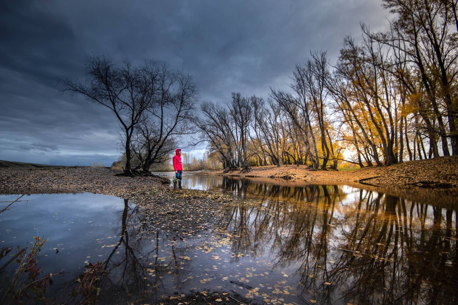 , Антонов Антон