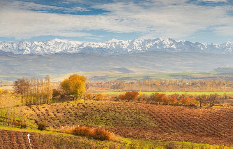 узбекистан, uzbekistan photo preview