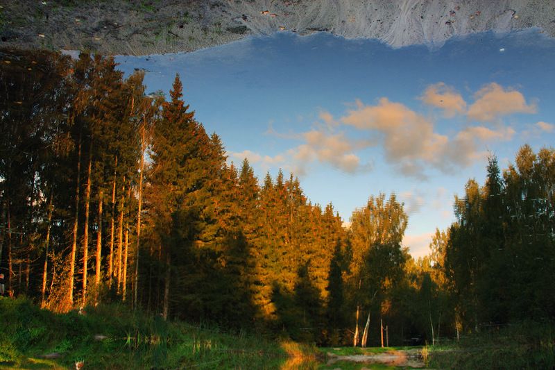 подмосковье Осенняя акварель... фото превью