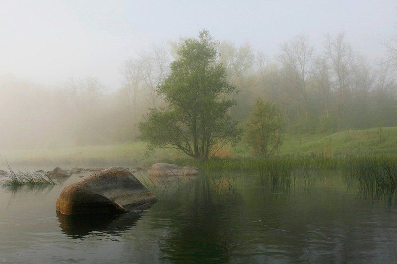 Река. Утро. Туман. Скалы. Утренняя гармония.photo preview
