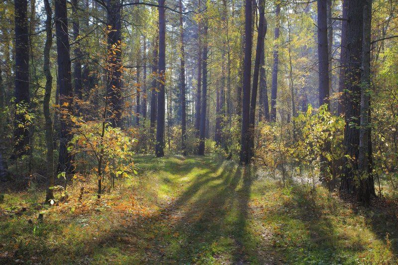 Сентябрьphoto preview