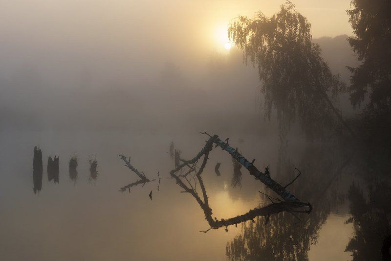 Вода, Грумант, Коряга, Рассвет, Тумант, Утро Утро, туман, мистика... фото превью