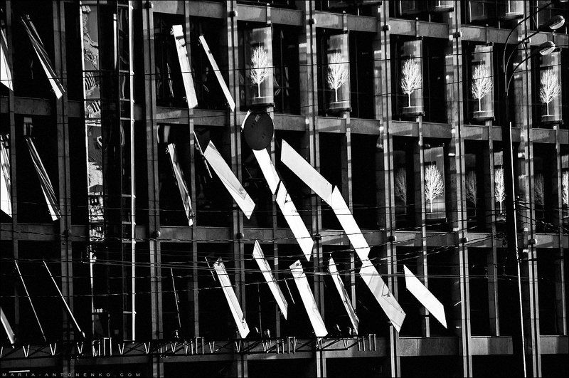 Москва, здание, стекло, деревья Стеклянные деревьяphoto preview