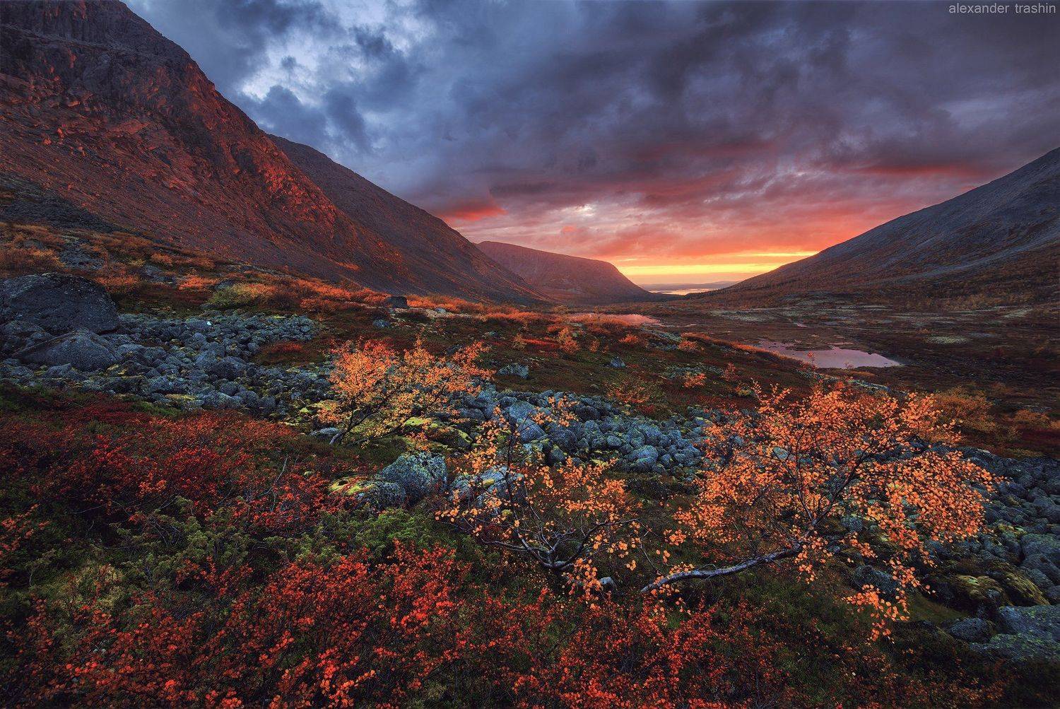 Autumn Hands. Автор: Александр Трашин закат, кольский полуостров, осень, пейзаж, хибины, Александр Трашин