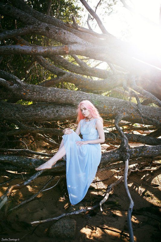 Альбертаphoto preview