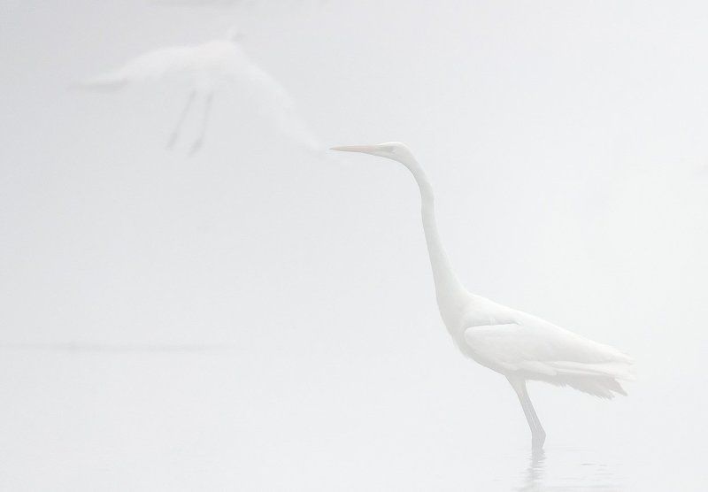 atmosphere  Come back to me...photo preview