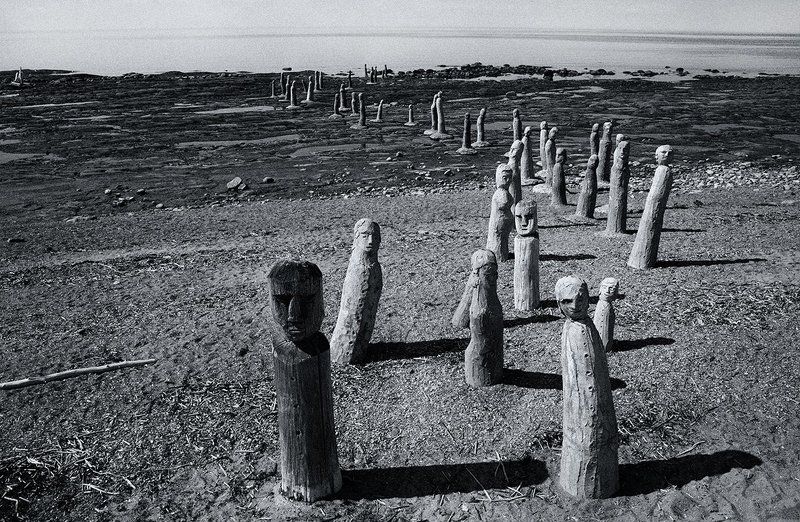 Roman Savin, Canada