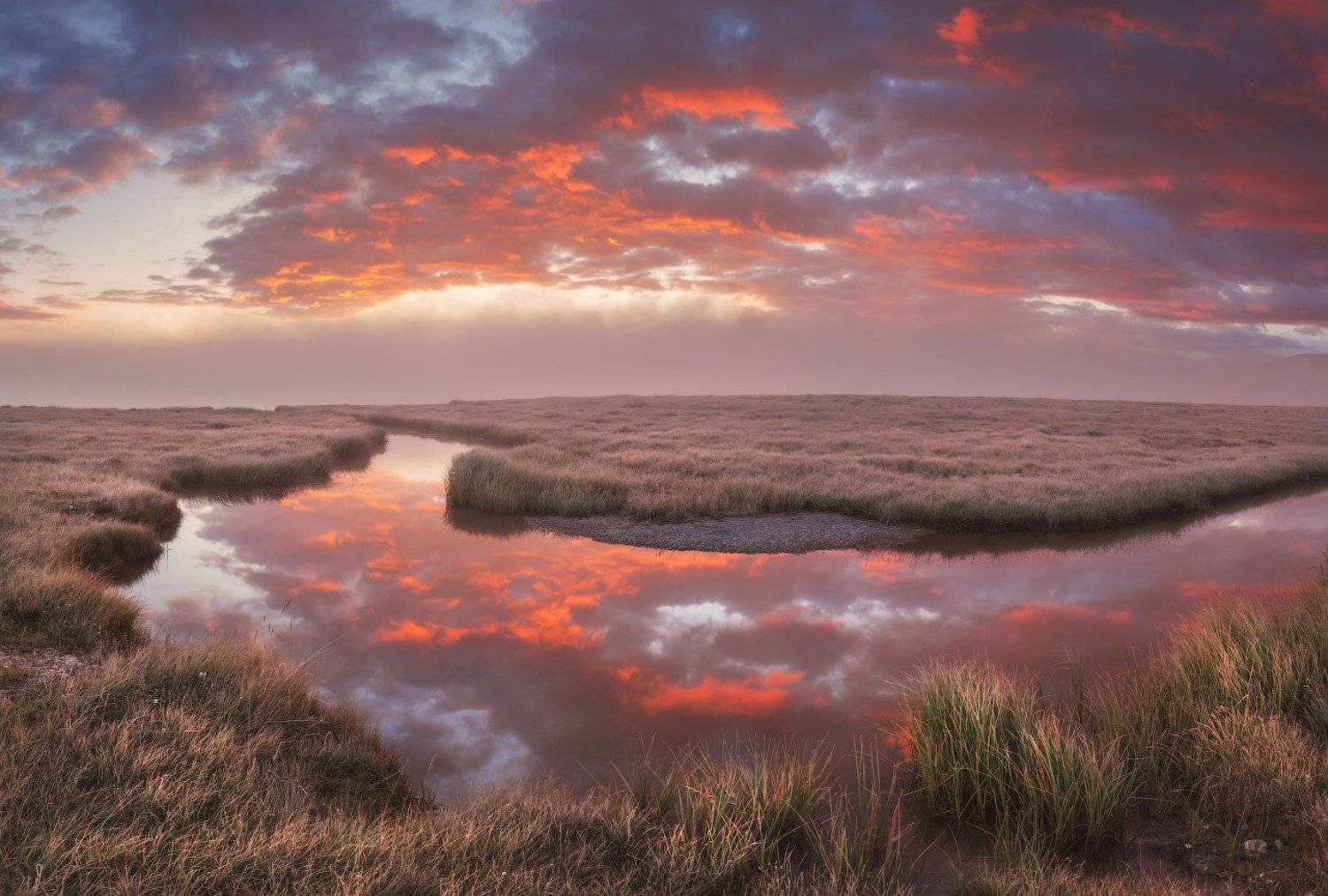 Укок, Андрей Уляшев (Mercand)