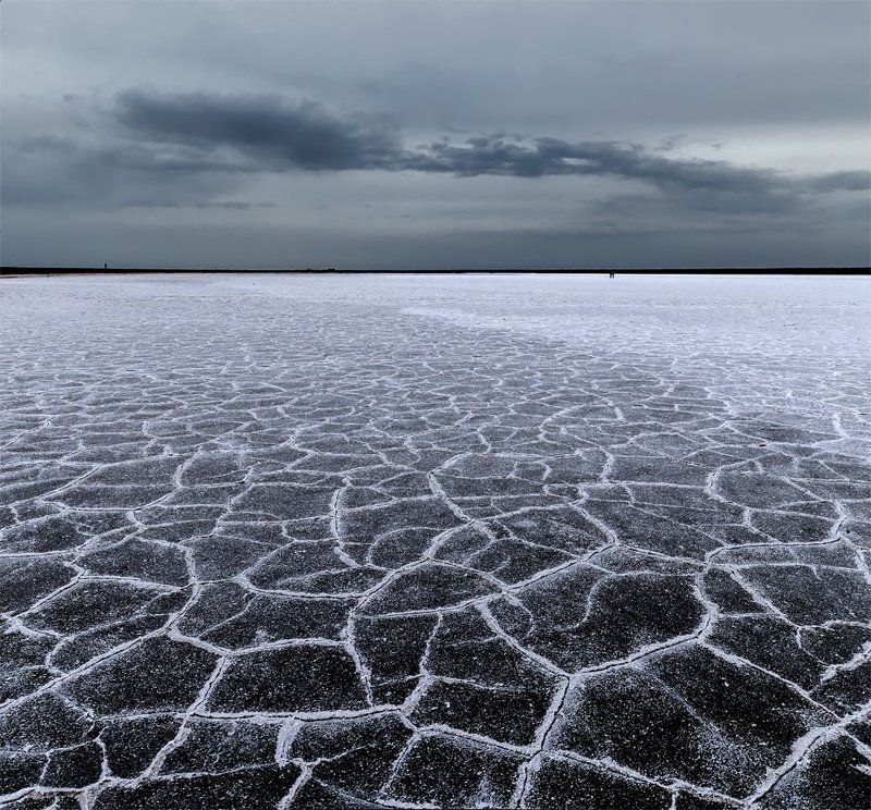 весна, дикая природа, озеро, пейзаж, природа, соль, эльтон Про Эльтонphoto preview