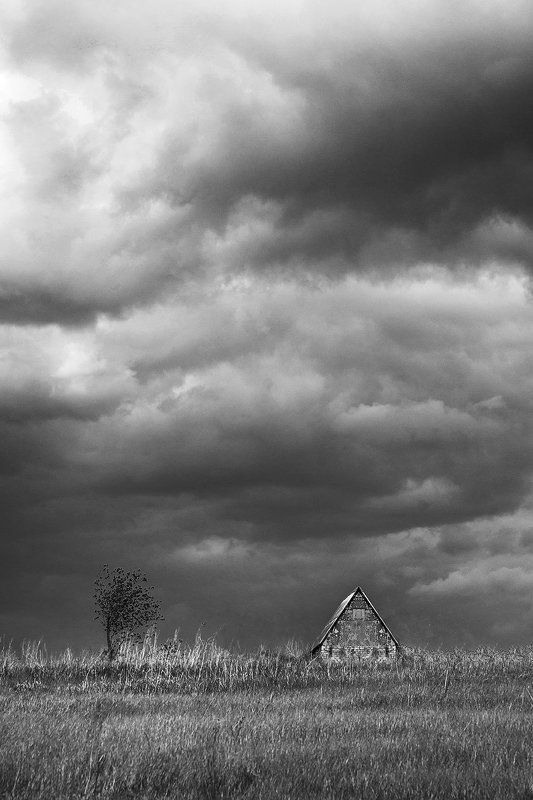 Черное и белоеphoto preview