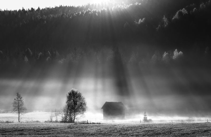 /ㅣㅣphoto preview