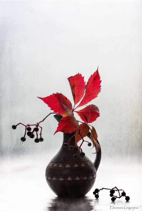 Осенний дождьphoto preview