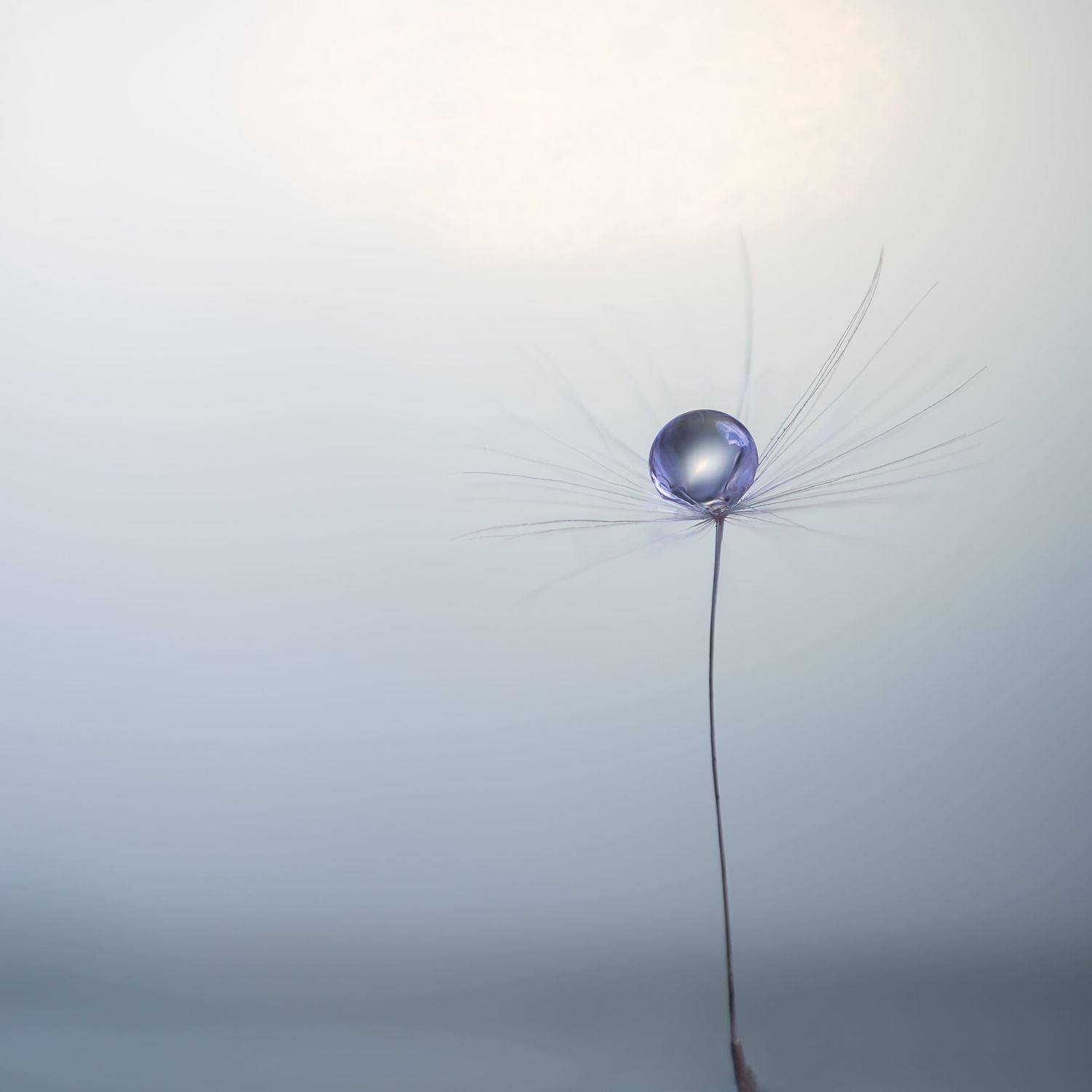 Один. Автор: Мария Александрова , Мария Александрова