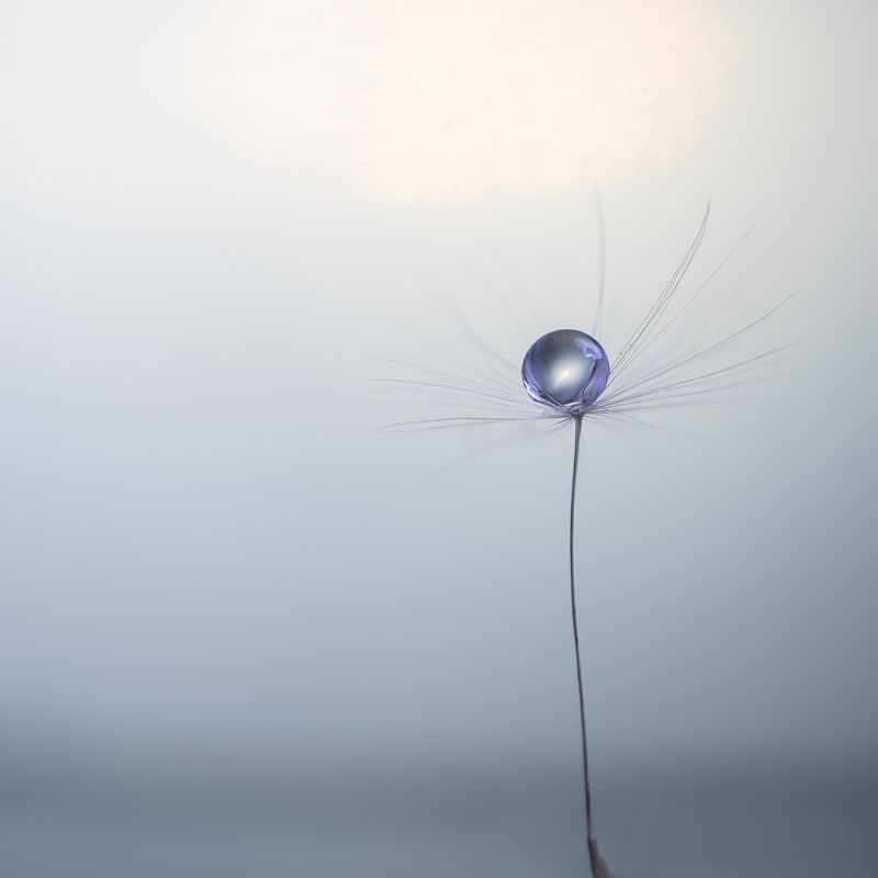 Одинphoto preview